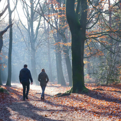 Ein Mann und eine Frau spazieren im Wald